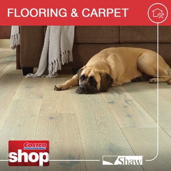 100014399test-847__1